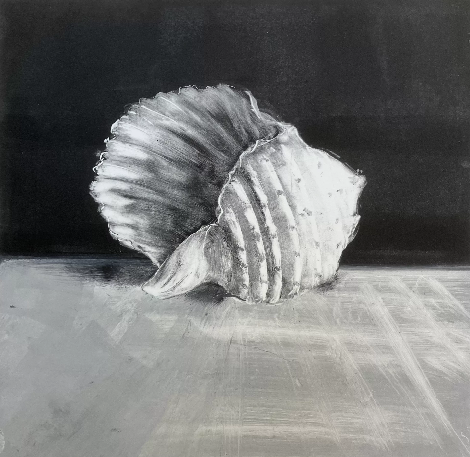 Sea Shell- Patricia Warrick